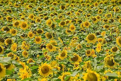 《远征:泥泞奔驰》“卷扬机”预告 3月5日正式发售